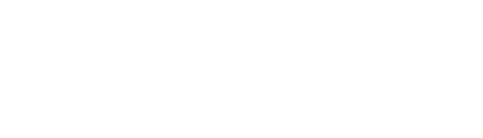 Hasenbande - Sky, Klecksy, Blacky und Holly     Unsere Wachteldamen     Chipsy und Toffee