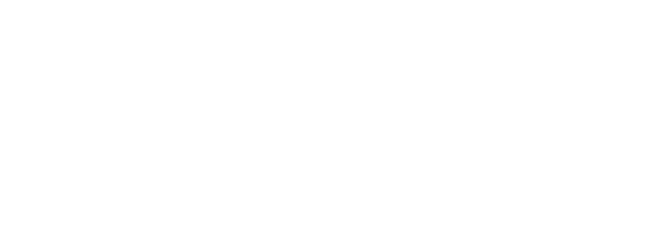 Apollo Born: 27.04.2019 Our youngest in the group. Lot of potential - still a bit inexperienced but very good-natured.	     Elja Born: 10.04.2007 The boss of our group. Elja was born at the Knallerhof. She is a very strong-willed and confident horse.    Mila Born: 27.06.2016 Mila needs closeness. She has been at the Knallerhof since 2019. A very willing horse - but she needs an experienced partner.