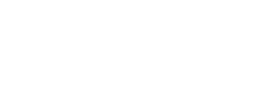 Apollo Geb.: 27.04.2019 Unser Jüngster in der Runde Ein Wallach mit viel Potential - noch etwas unerfahren testet er gerne die Grenzen aus - ist aber von Herzen gutmütig.	     Elja Geb.: 10.04.2007 Die Chefin in der Herde. Elja wurde am Knallerhof geboren. Sie ist eine sehr willensstarke und gangsichere Stute.    Mila Geb.: 27.06.2016 Unsere „Klette“ in der Herde. Mila braucht Nähe. Sie ist seit 2019  am Knallerhof. Eine sehr willige Stute die aber einen erfahrenen Partner braucht.