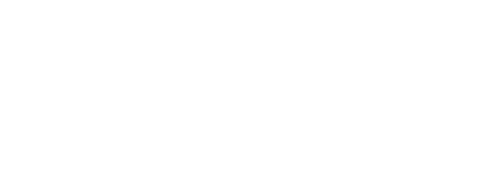 Apollo Geb.: 27.04.2019 Unser Jüngster in der Runde Ein Wallach mit viel Potential - noch etwas unerfahren testet er gerne die Grenzen aus - ist aber von Herzen gutmütig.	  Für Anfänger oder ängstliche Reiter aber nicht geeignet.   Elja Geb.: 10.04.2007 Die Chefin in der Herde. Elja wurde am Knallerhof geboren. Auch Reitanfänger oder ängstliche Reiter sind für sie kein Problem. Sie ist eine sehr willensstarke und gangsichere Stute.    Mila Geb.: 27.06.2016 Unsere „Klette“ in der Herde. Mila braucht Nähe. Sie ist seit 2019  am Knallerhof. Eine sehr willige Stute die aber einen erfahrenen Partner braucht.