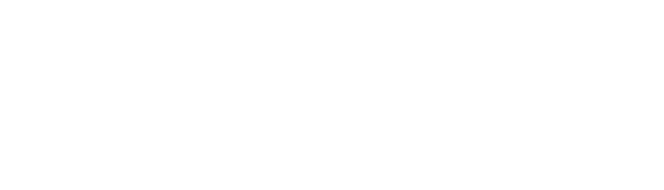 The rabbits - Sky, Klecksy, Blacky und Holly     Birds     Chipsyo,Toffee, Cloe and Sissi